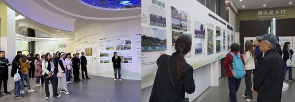 122cc太阳集成游戏