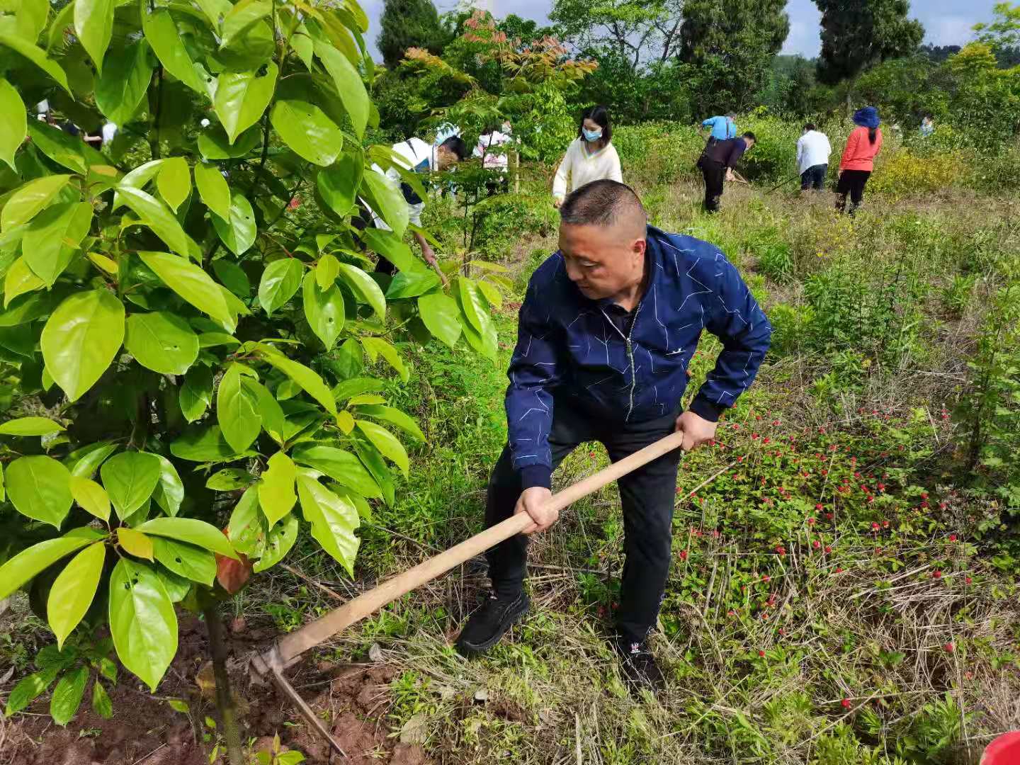 122cc太阳集成游戏