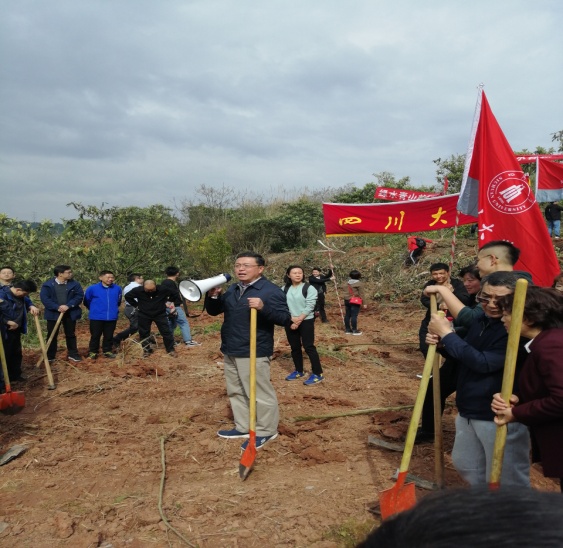 122cc太阳集成游戏