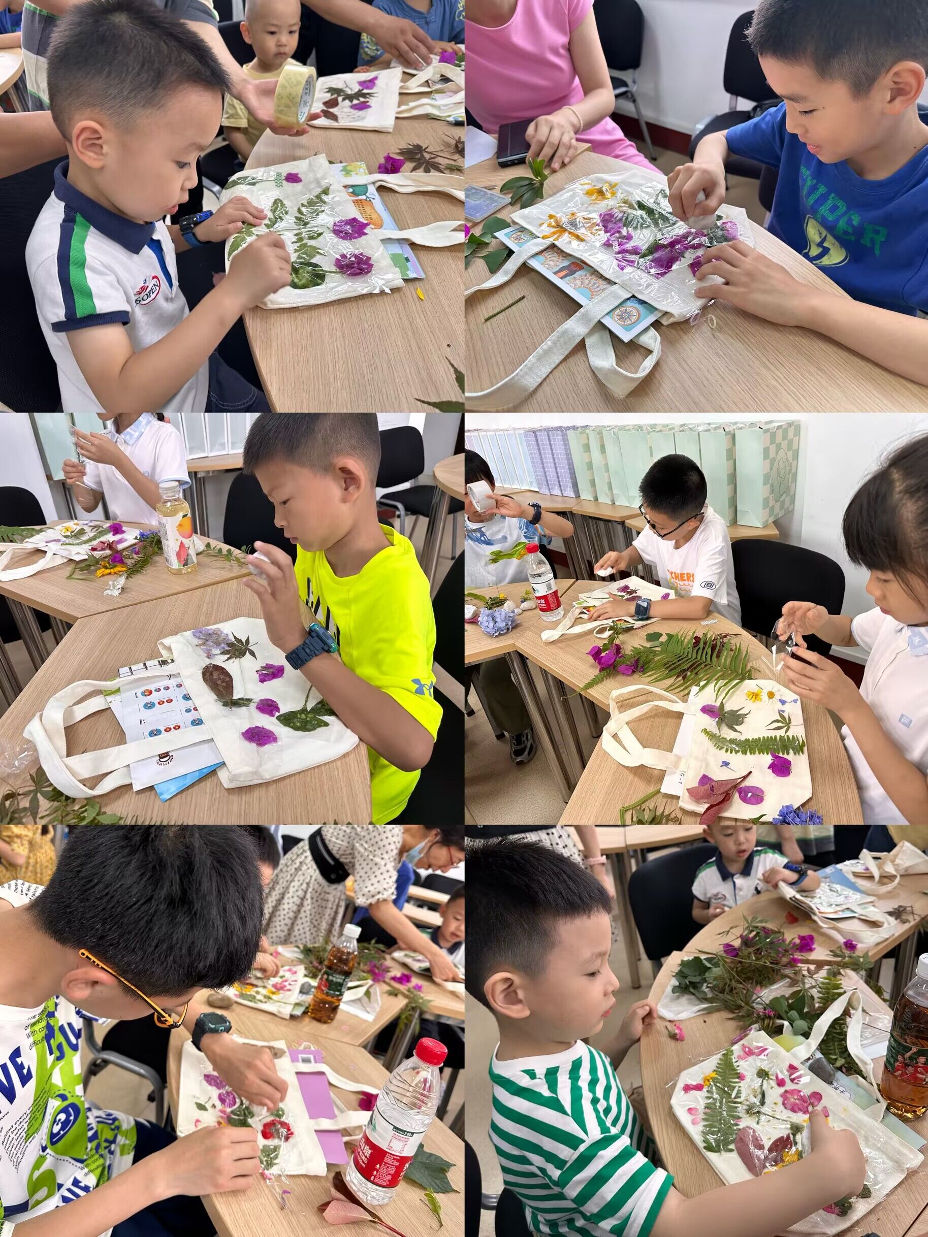 122cc太阳集成游戏