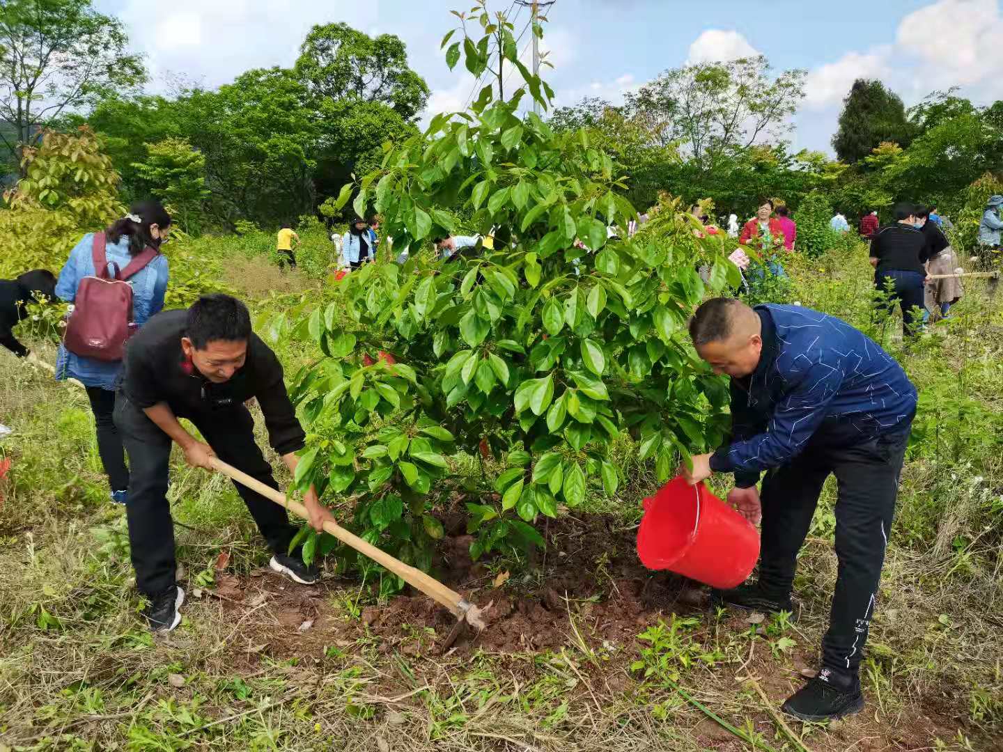 122cc太阳集成游戏