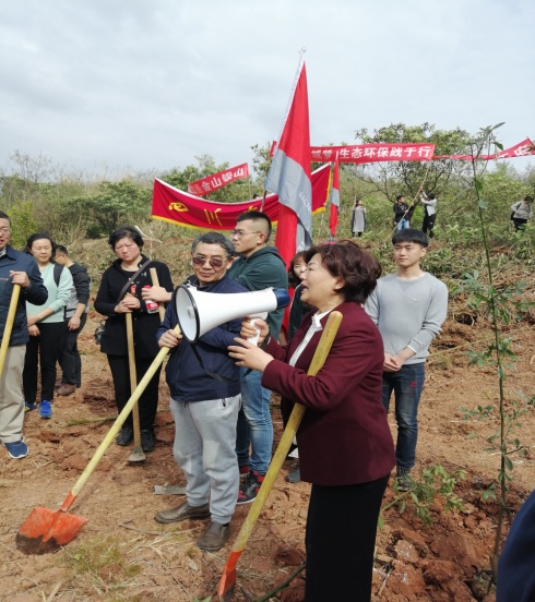 122cc太阳集成游戏