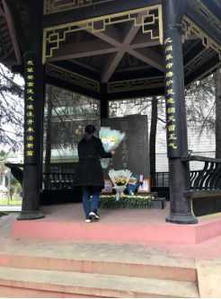 122cc太阳集成游戏